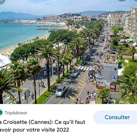 Cannes Rez De Jardin Avec Piscine Bord De Mer Apartment