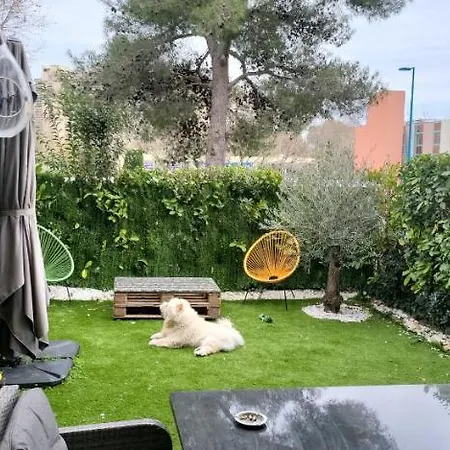 Cannes Rez De Jardin Avec Piscine Bord De Mer
